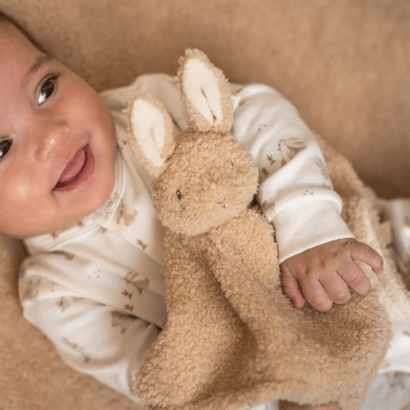 Hišni ljubljenček Baby Bunny