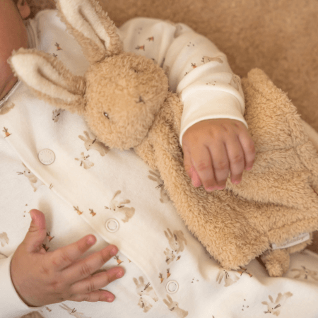 Hišni ljubljenček Baby Bunny