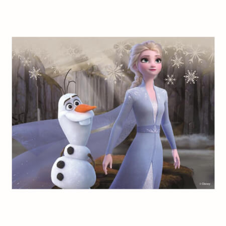 FROZEN II 12 lesenih licenčnih kock