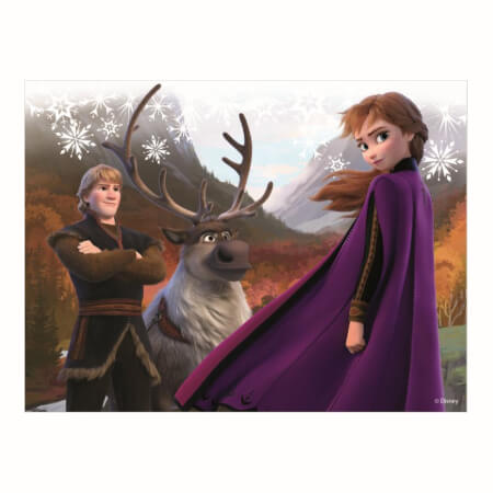 FROZEN II 12 lesenih licenčnih kock