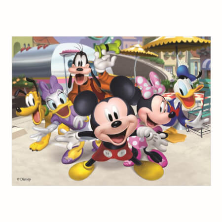 MICKEY IN MINNIE 12 lesenih kock za licenco